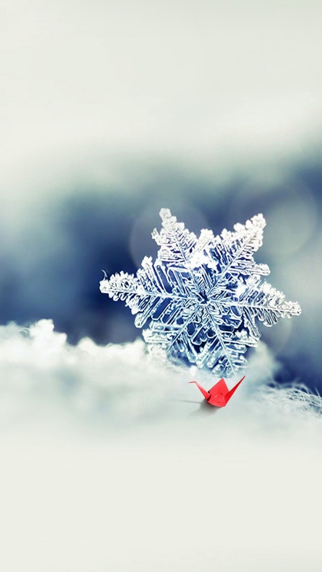 新年 年年有鱼 year of the 2018 苹果手机高清壁