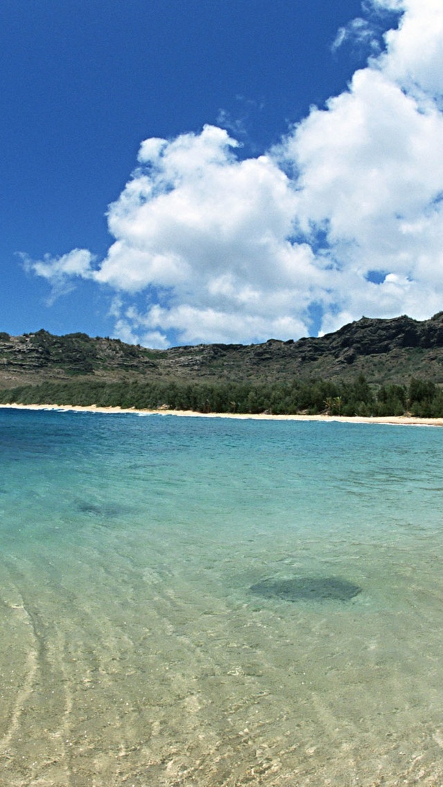 海水 大海 海浪 海岸 苹果手机高清壁纸 640x11