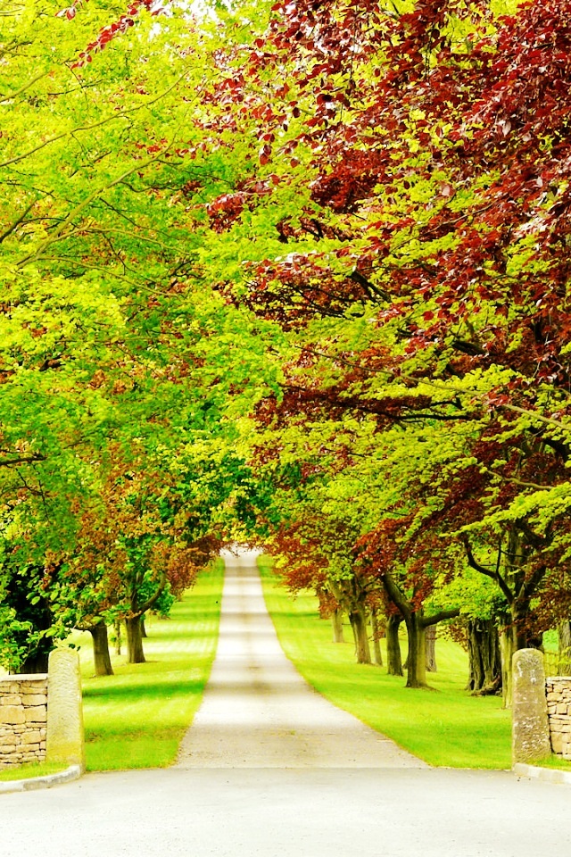 春暖花开,风景