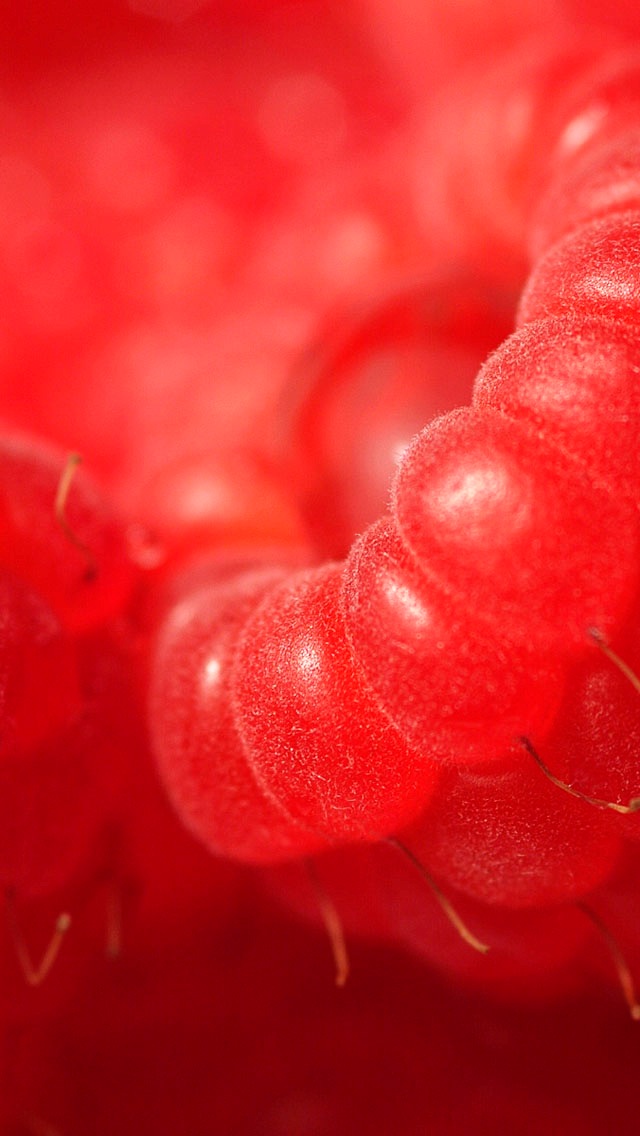 好看的墙纸苹果 1445260013618.jpg