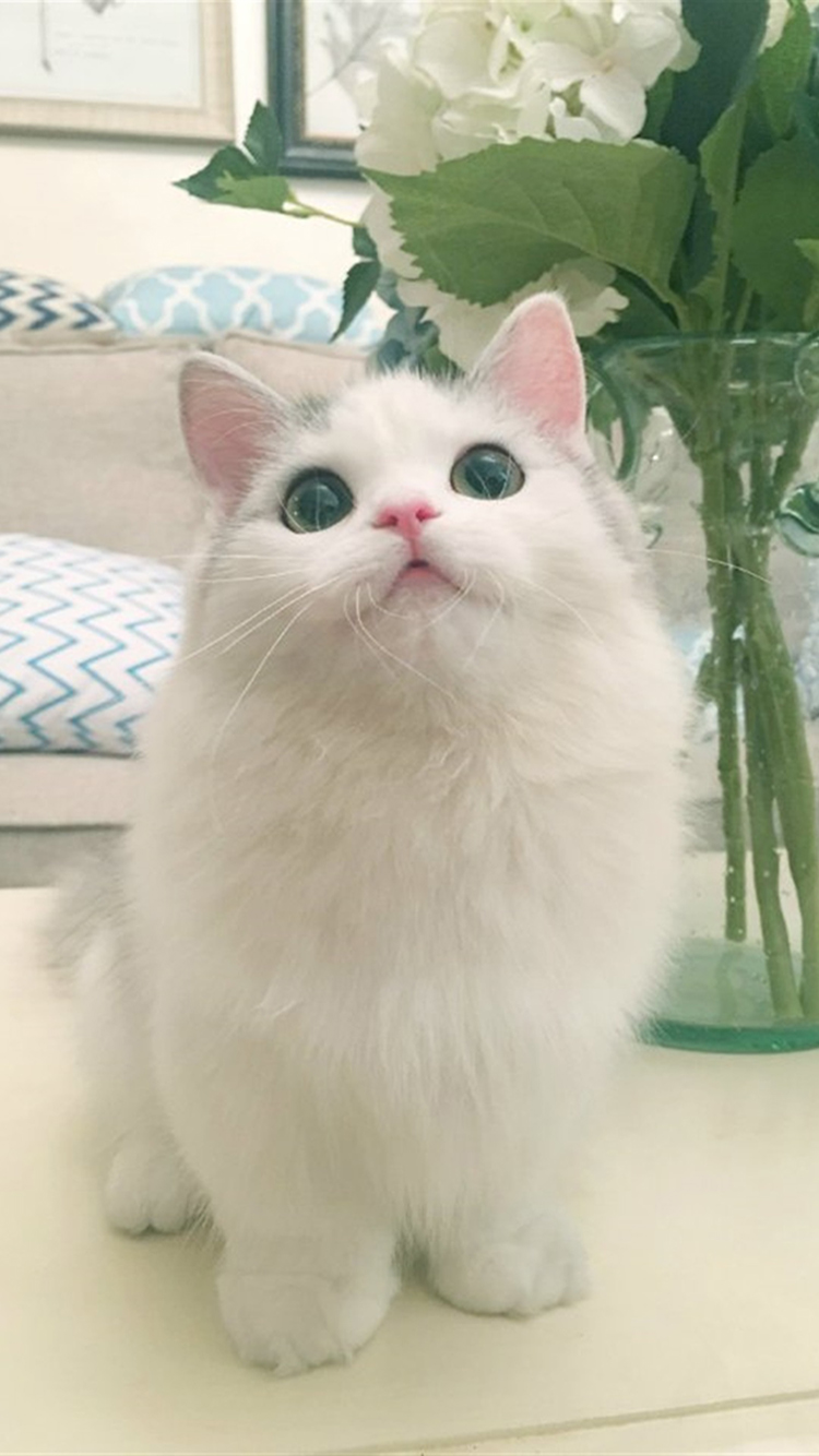 手工制作救护车图片