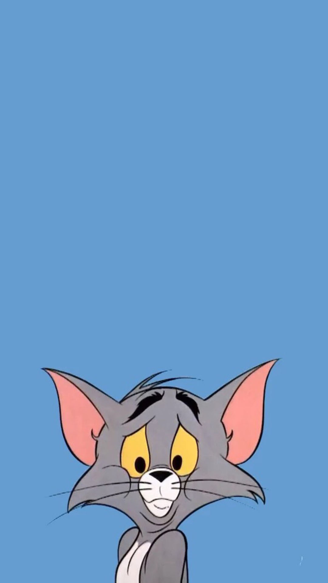 汤姆猫
