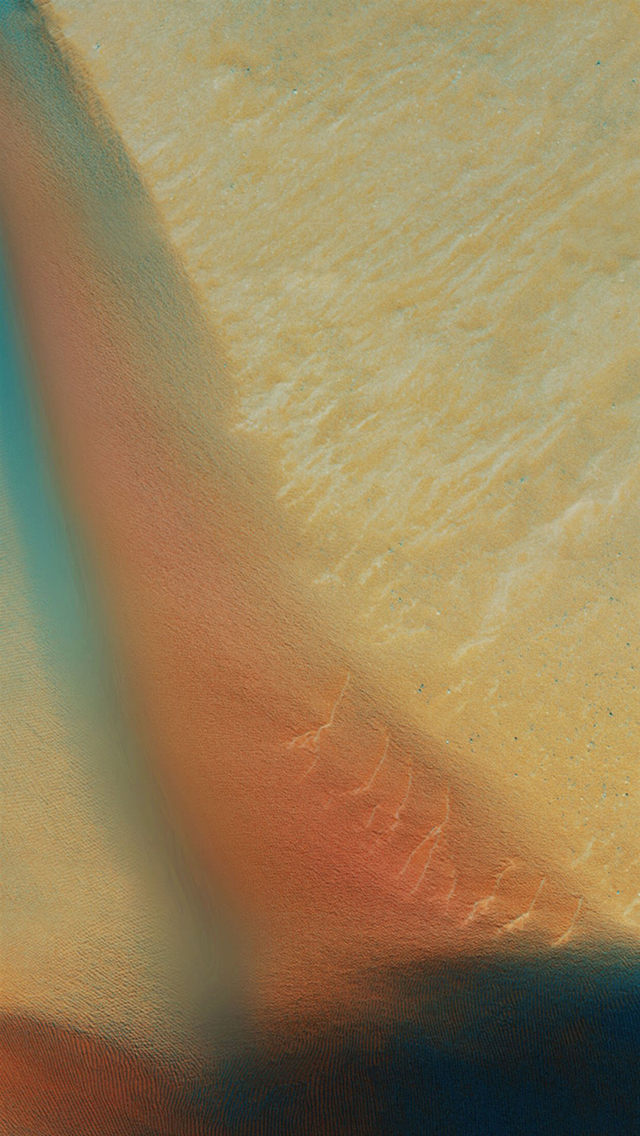 1482203979565_119252.jpg