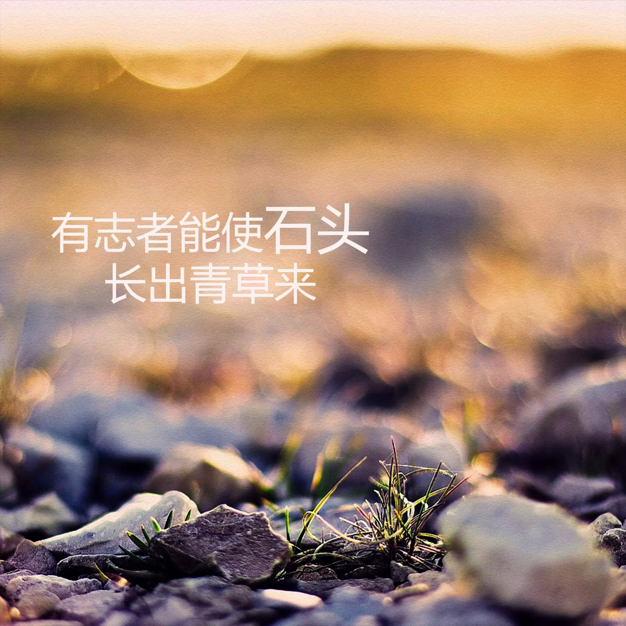有志者能使石头长出青草来