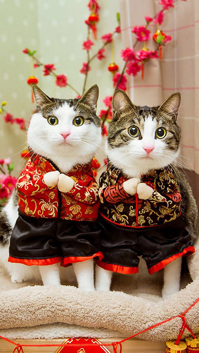 七夕 孔明灯 情人节 爱情 浪漫 苹果手机高清壁