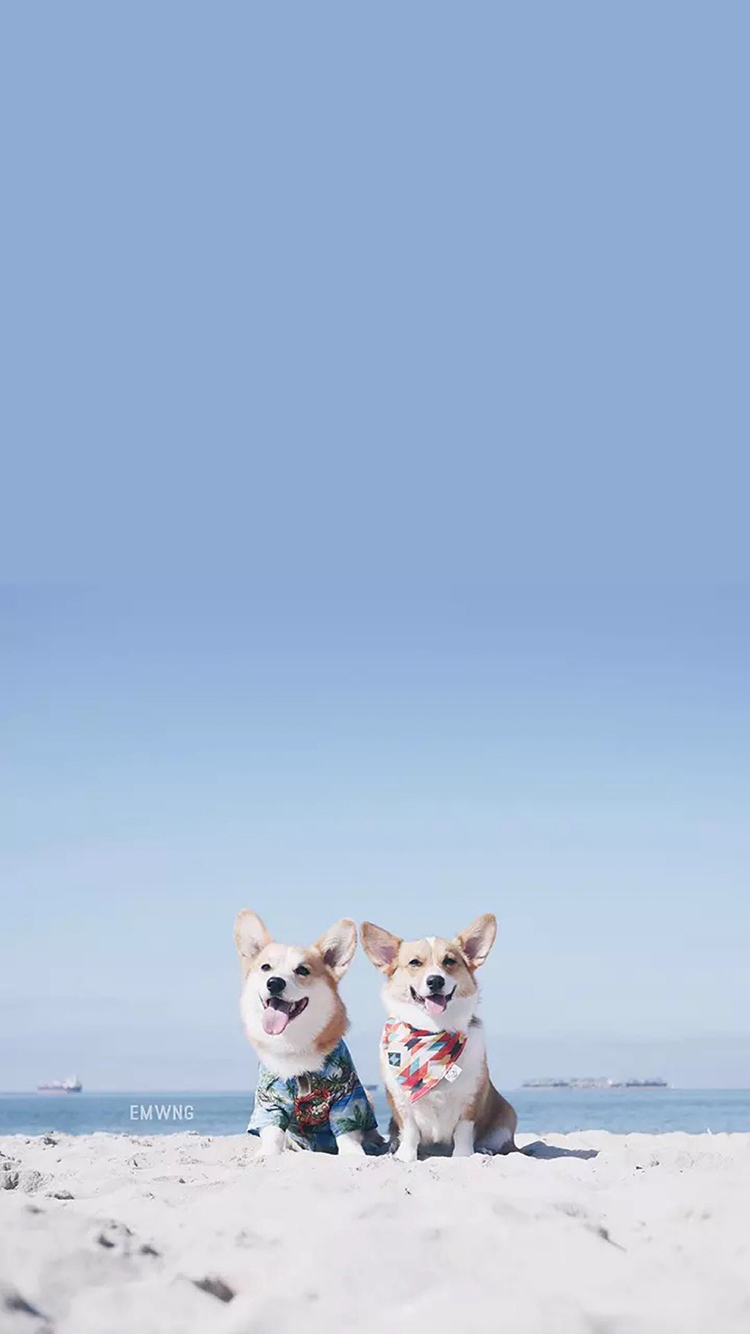 jpeg 苹果手机高清壁纸 750x_皮皮网 jpeg 苹果手机高清壁纸 750x