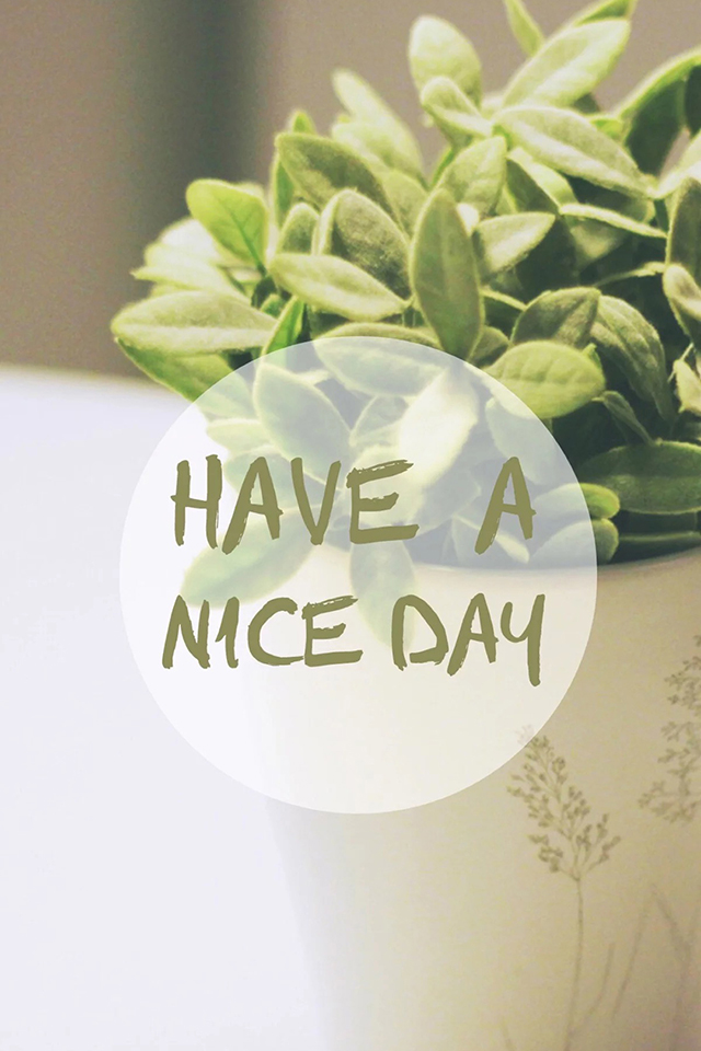 have a nice day 美好的一天 英文 盆栽