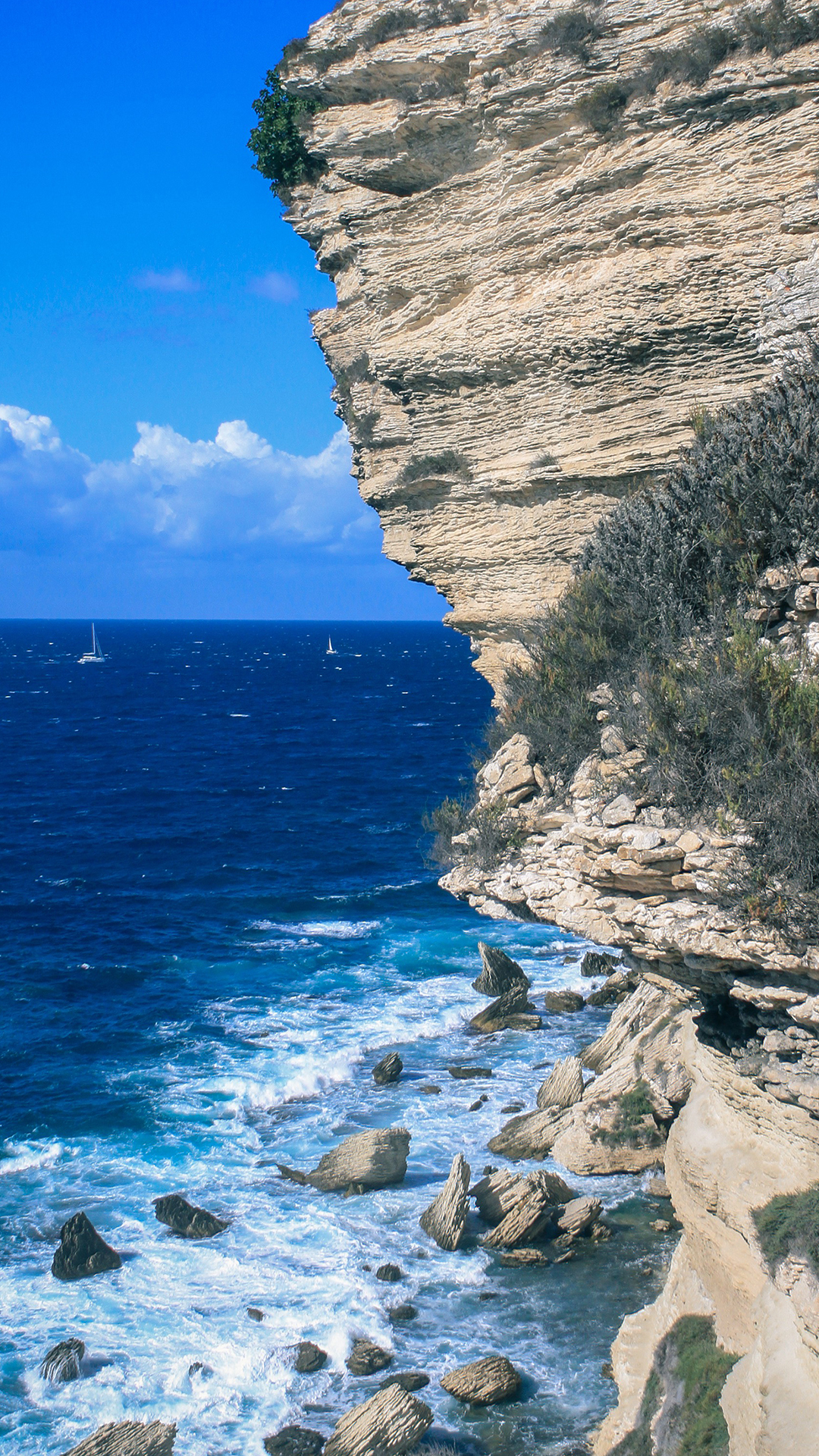 海边景色 鹅卵石 枯木 蓝色 苹果手机高清壁纸