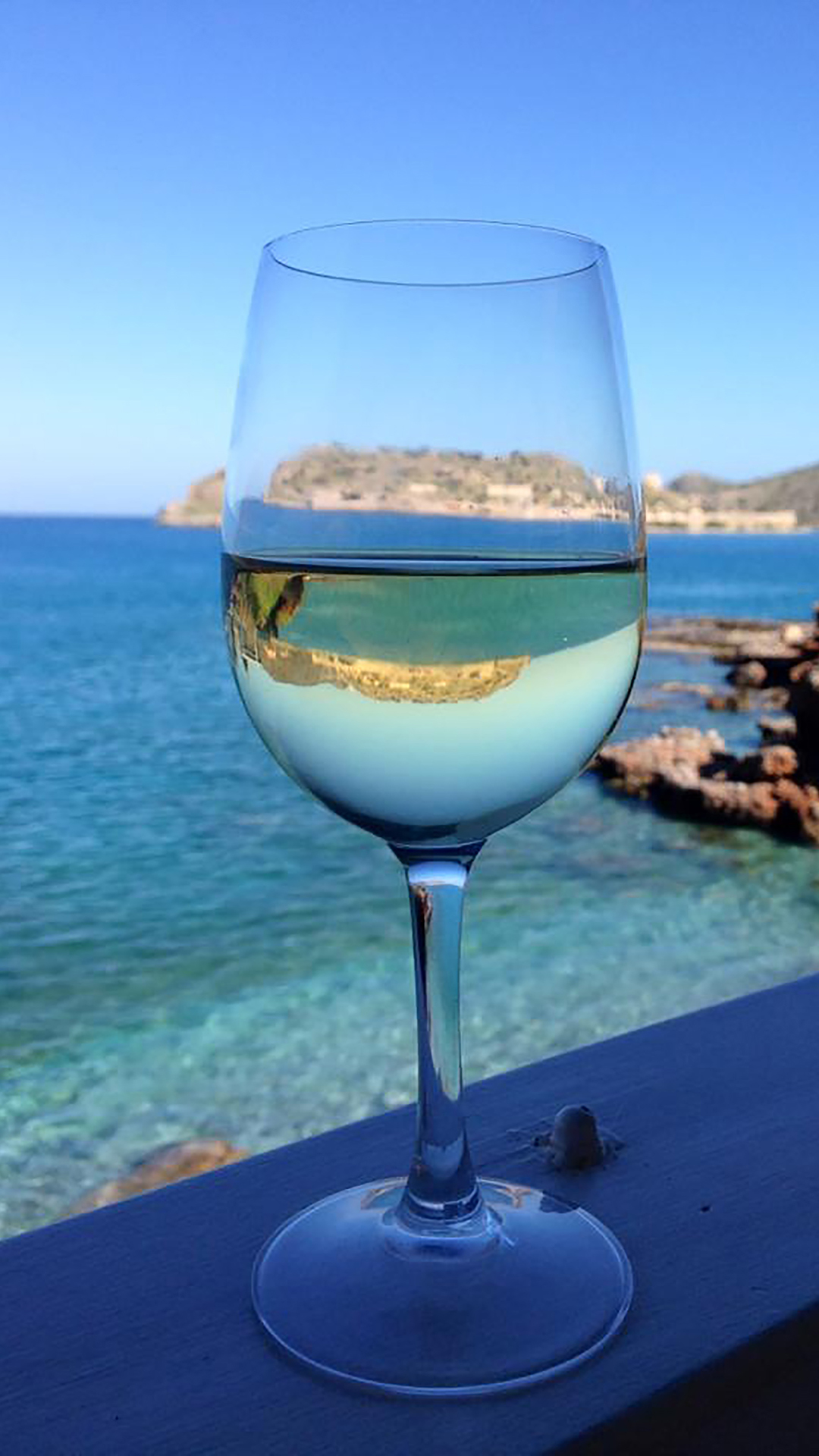 海边景色 鹅卵石 枯木 蓝色 苹果手机高清壁纸