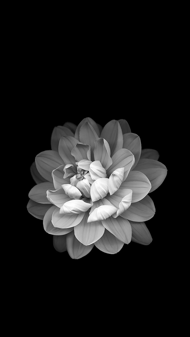 苹果IOS10官方内置壁纸 粉 喷射 黄色 色彩 苹果