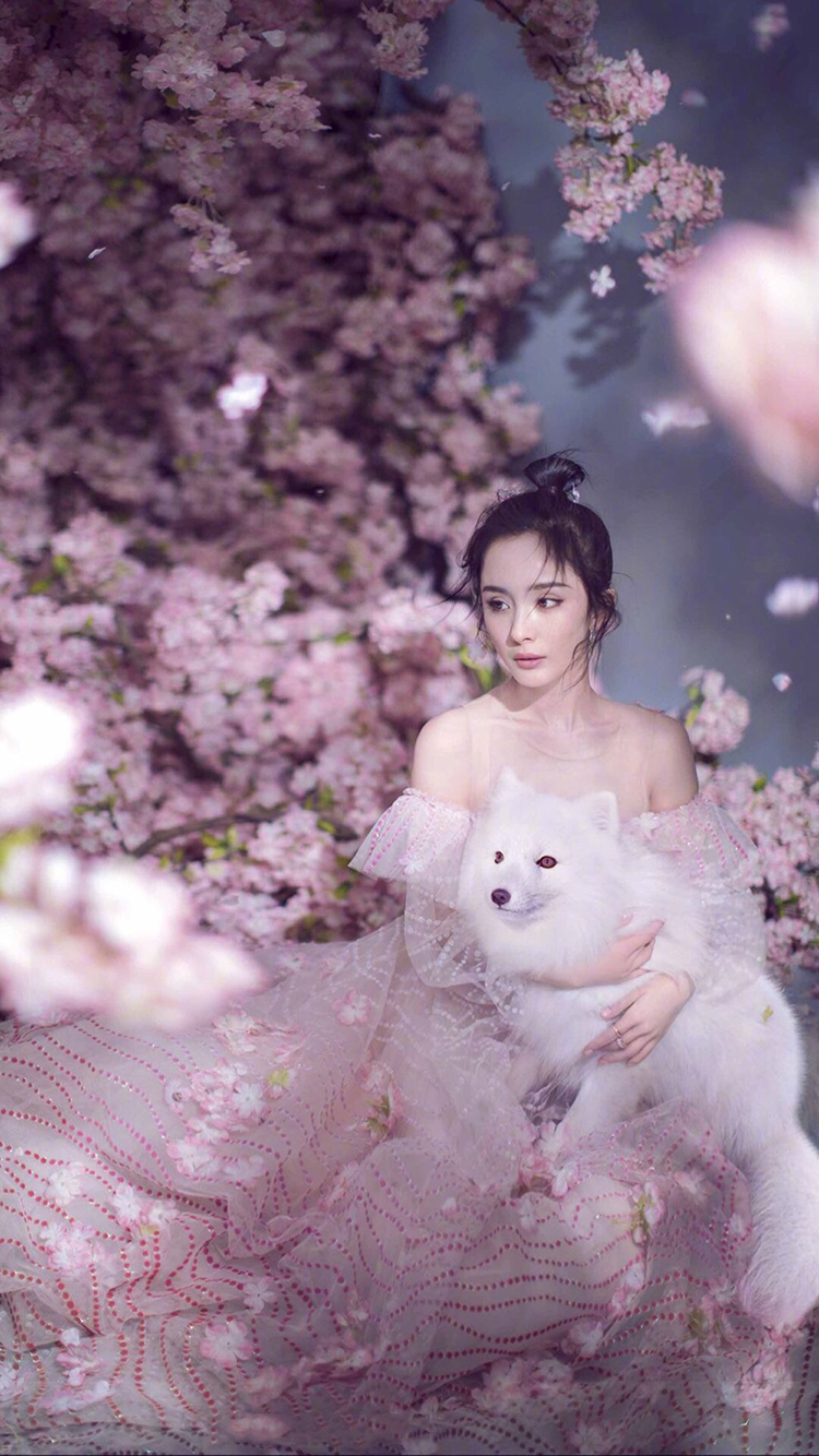 杨幂 演员 明星仙气薄纱 唯美