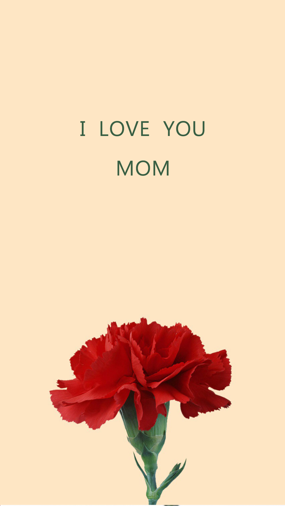 母亲节壁纸 康乃馨 i love you mom