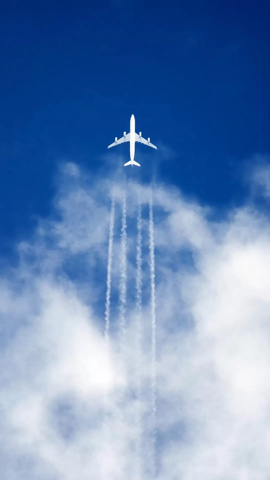 飞机 天空 蓝天白云 飞行 航空