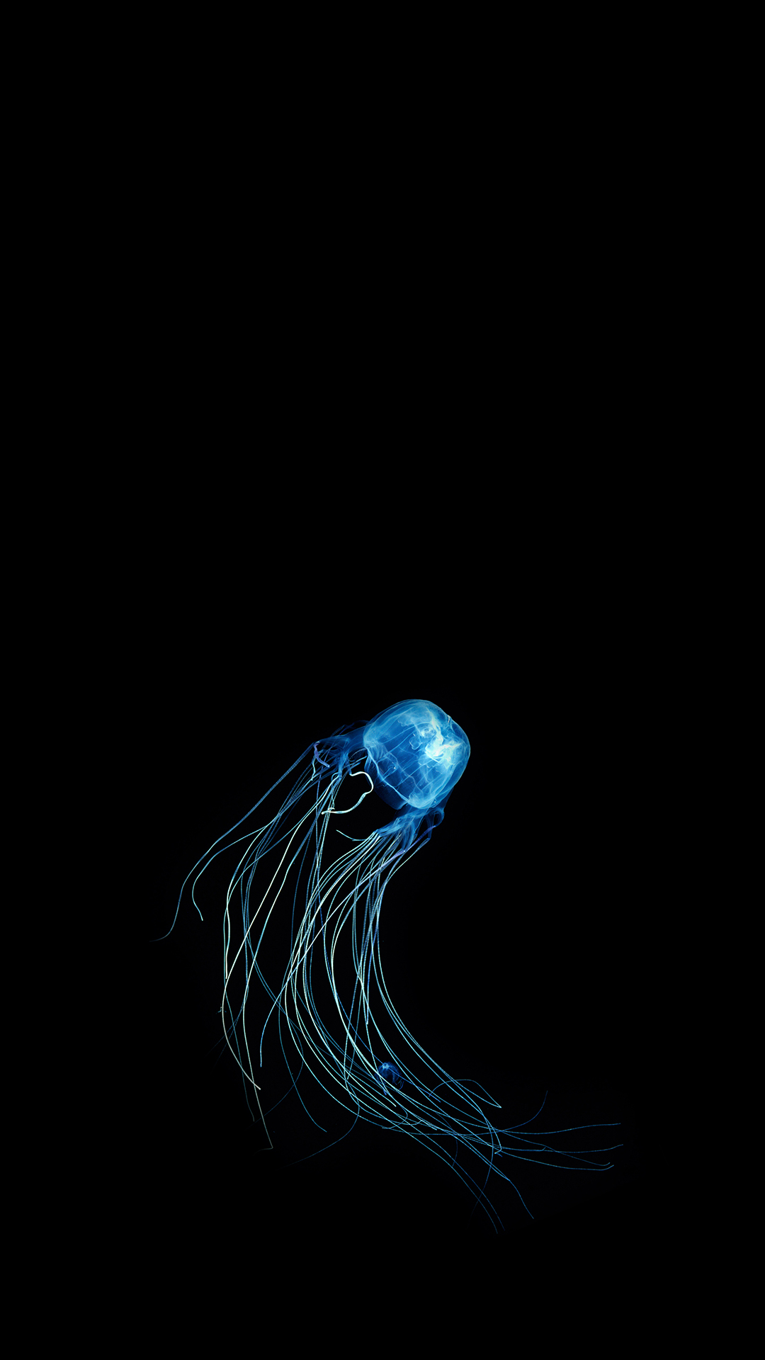 1499327788745_280313.jpg