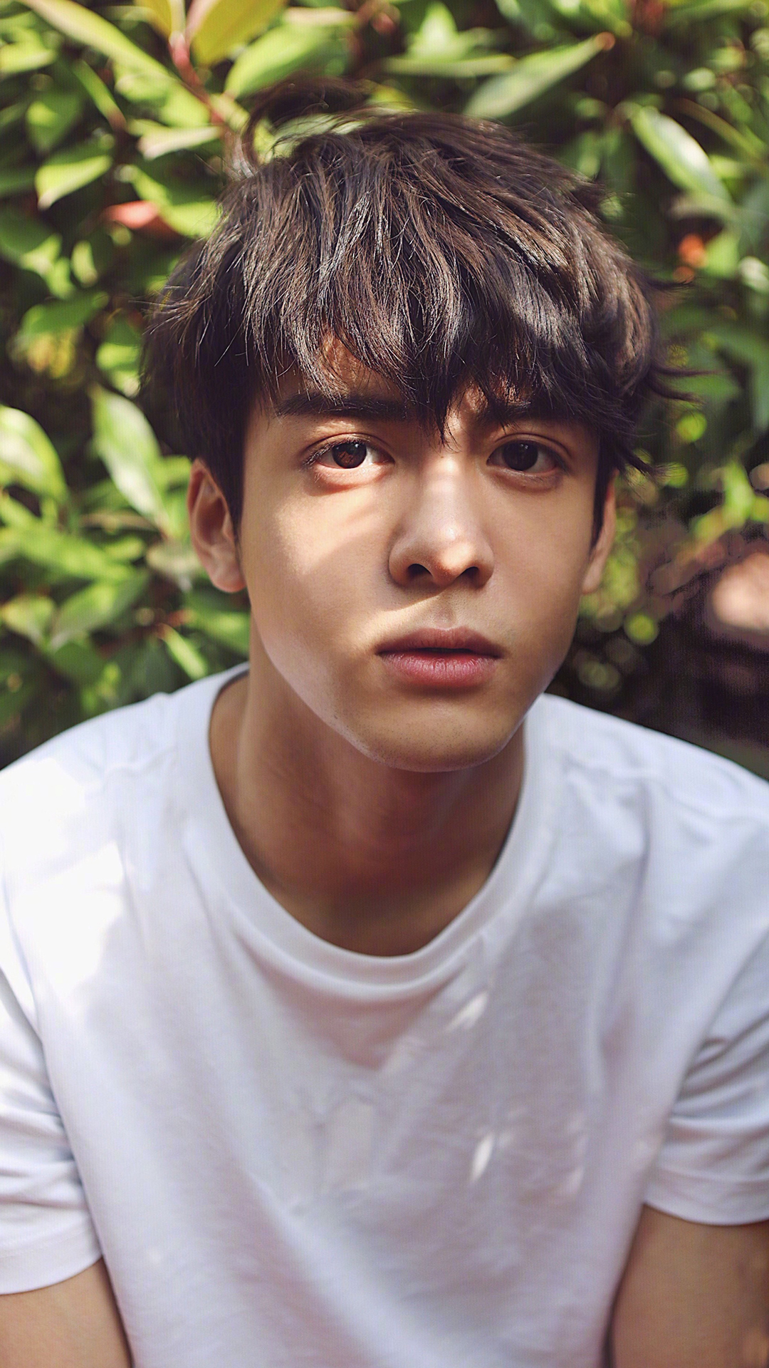 曾舜晞 大眼仔 歌手 演员 艺人 明星