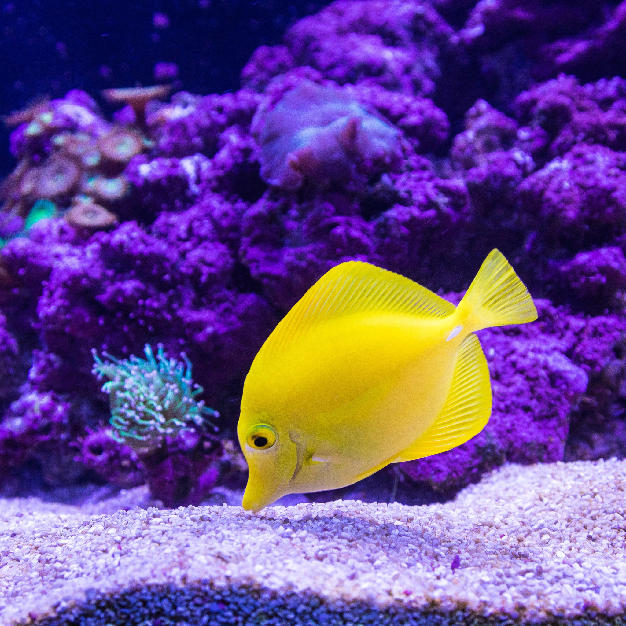 1504685184929_722696.jpg