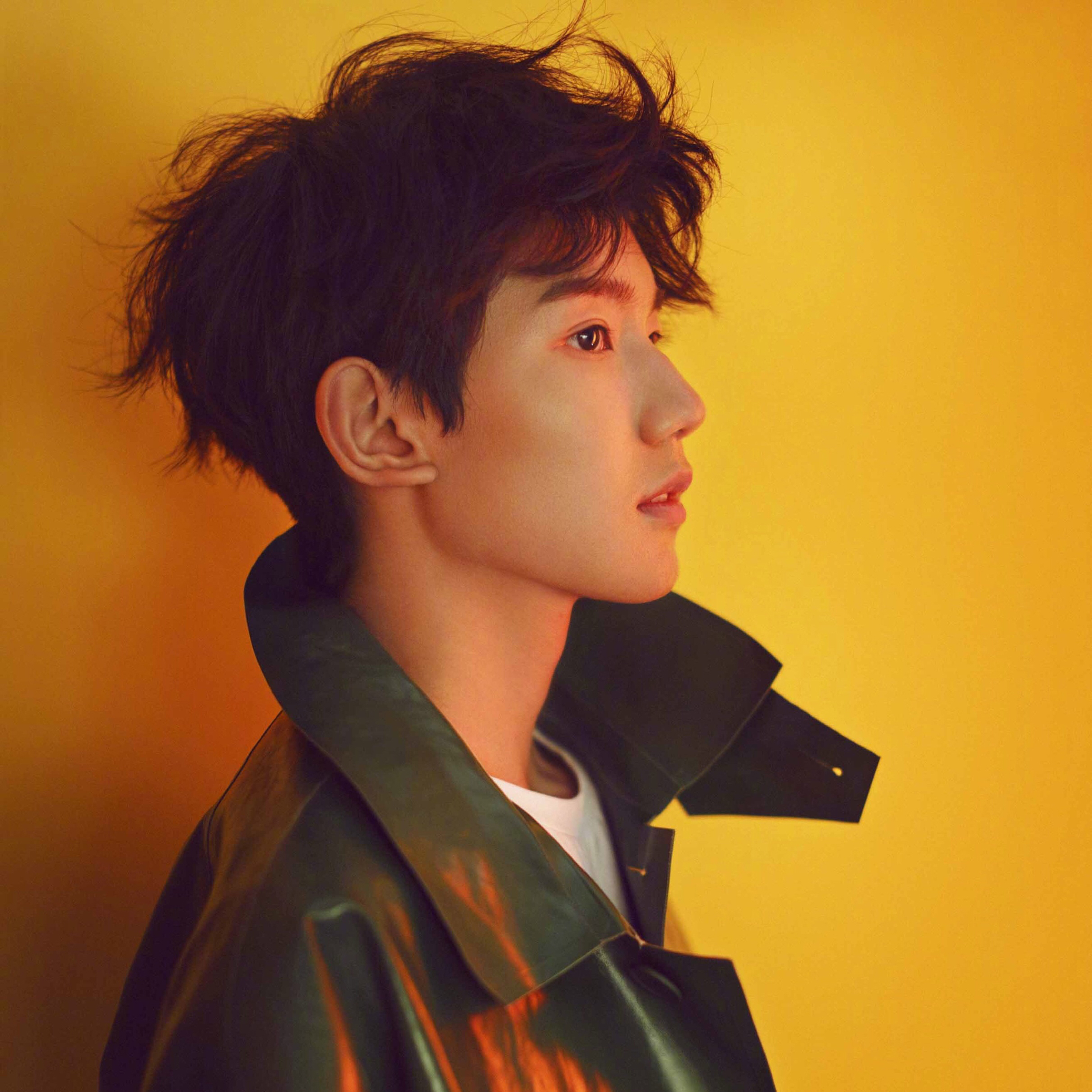 任嘉伦 明星 演员 古装 苹果手机高清壁纸 2732