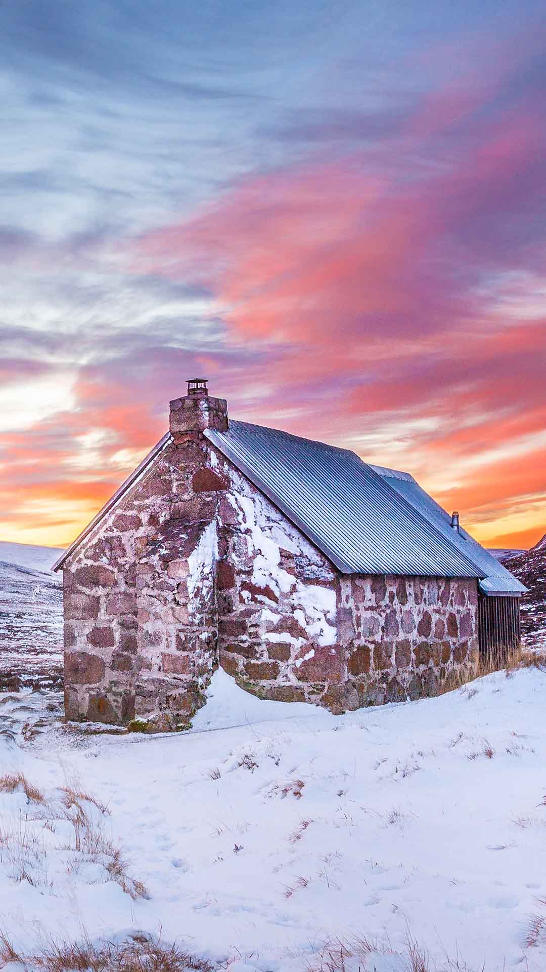 雪地 冬季 寒冷 荒凉 干枯 苹果手机高清壁纸 1080x