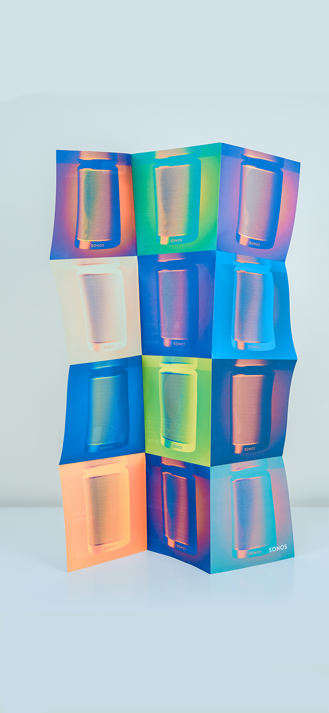 玫瑰 创意 花朵 植物 彩色 高清 苹果手机高清壁