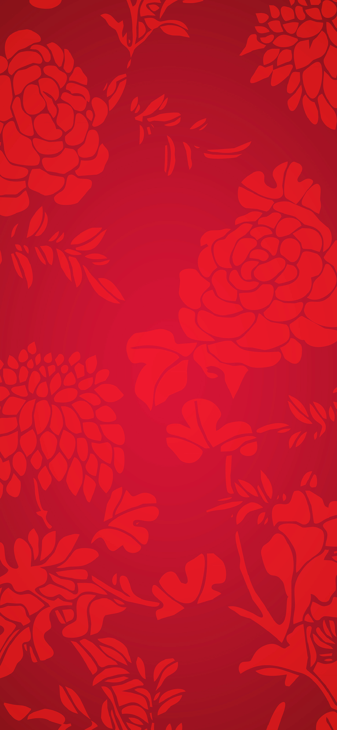 花 红色 喜庆 春节 牡丹