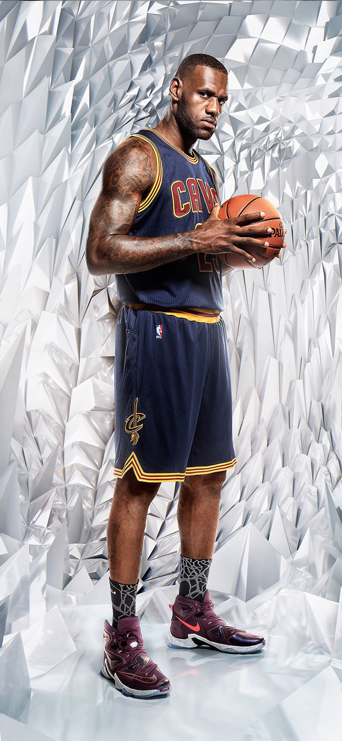 詹姆斯 篮球 运动员 球鞋 nba