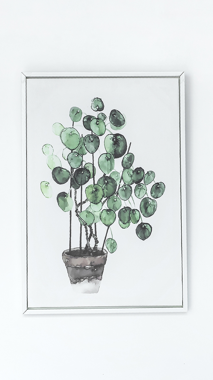壁画 龟背竹 简约 手绘