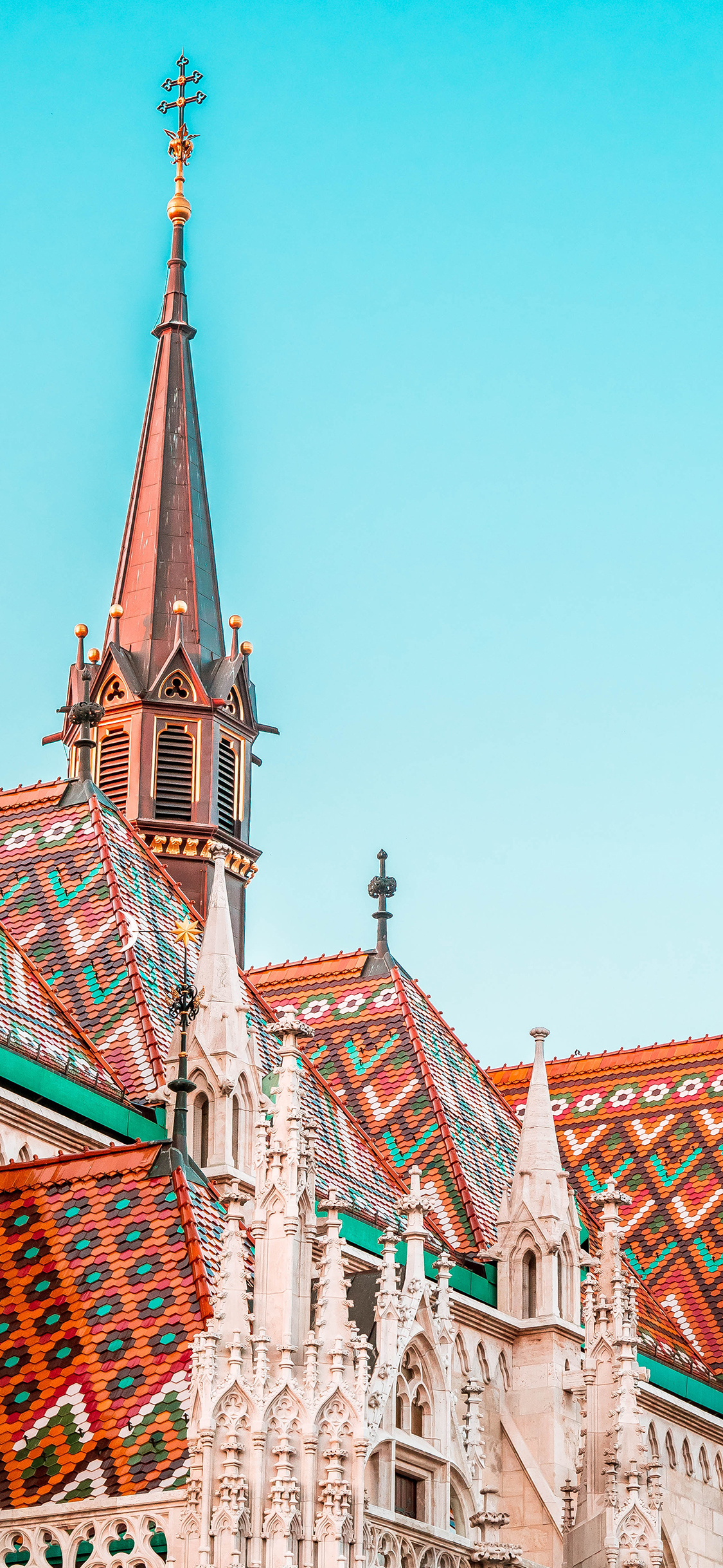 燃烧 木柴 火焰 夜晚 苹果手机高清壁纸 1125x2