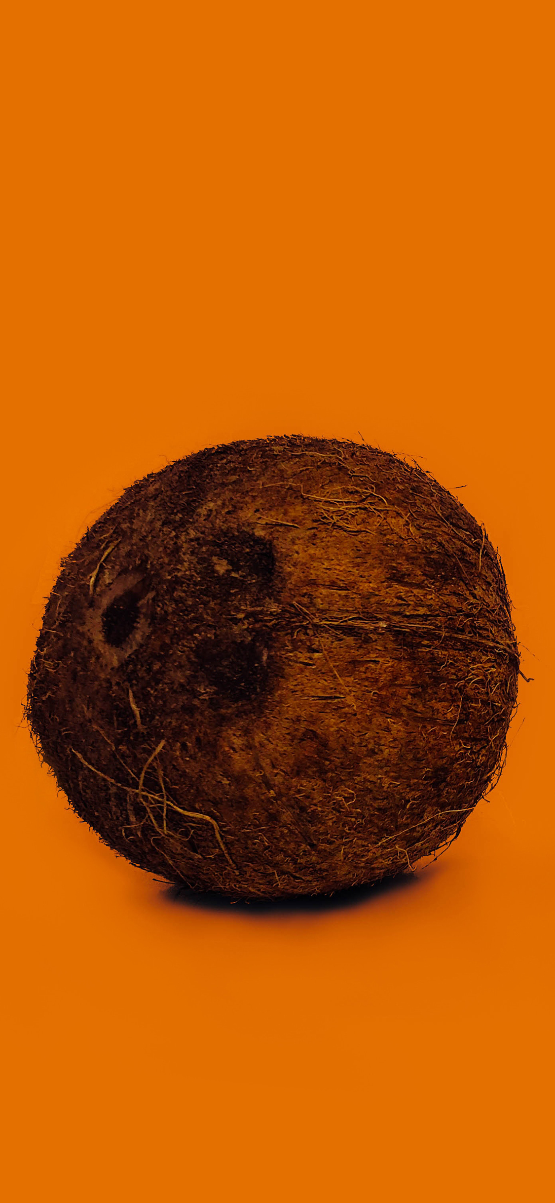 冰淇淋 甜食 花草 脆皮 苹果手机高清壁纸 1125