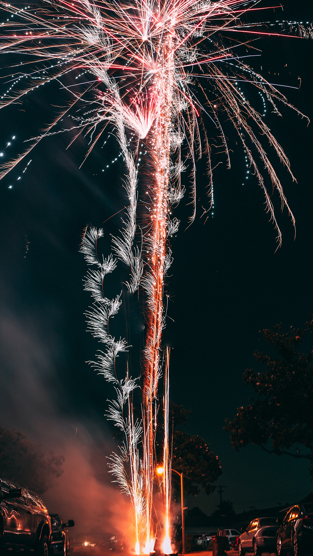 夜晚 烟花 绽放 庆祝 绚丽