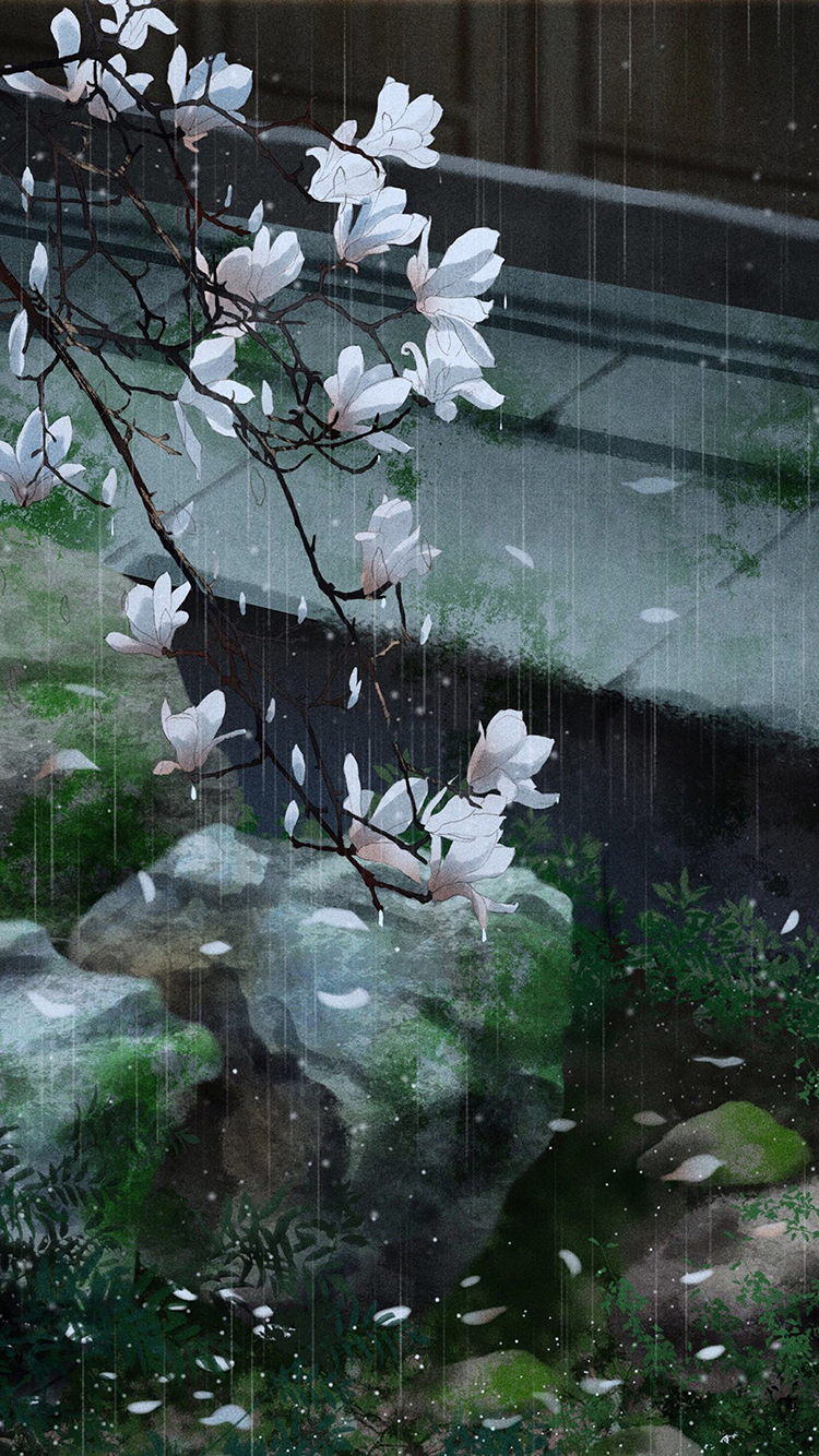 白玉兰 庭院 水池 古风 绘画 雨水