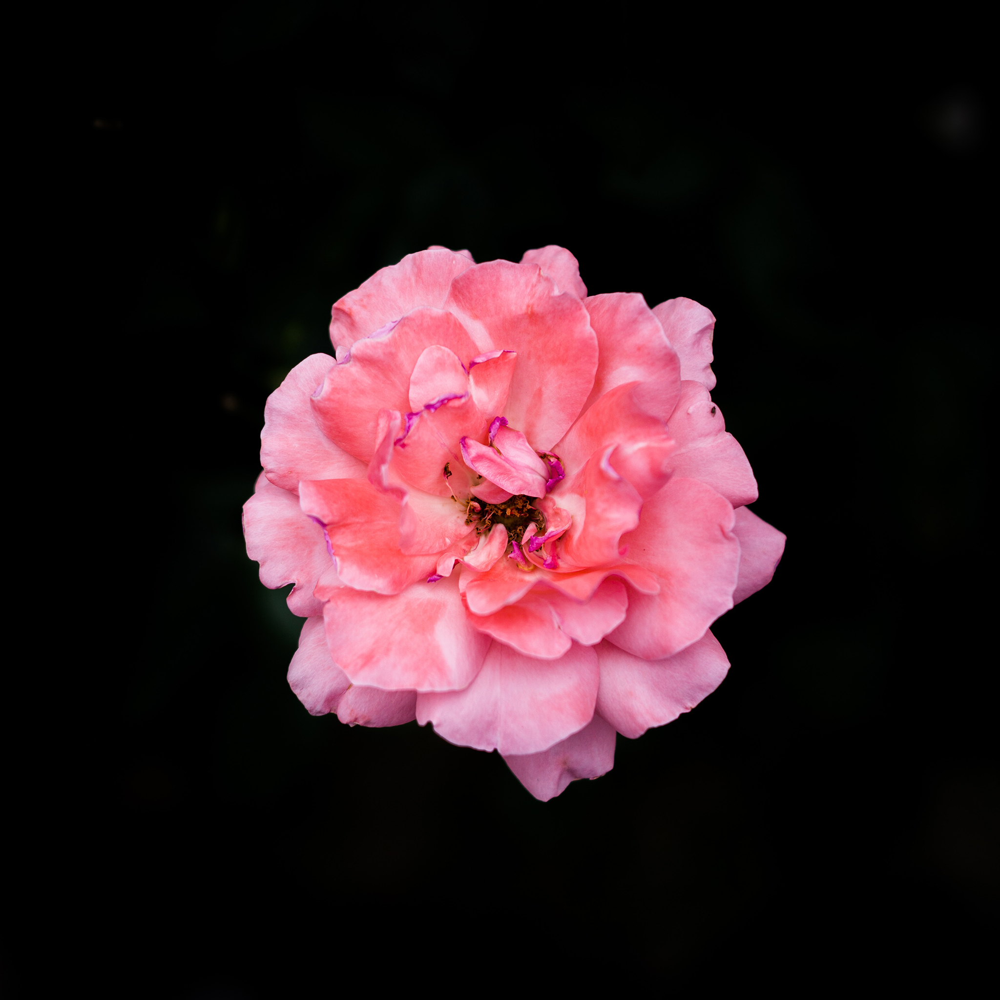 手机 白石 鹅卵石 简约 苹果手机高清壁纸 2048