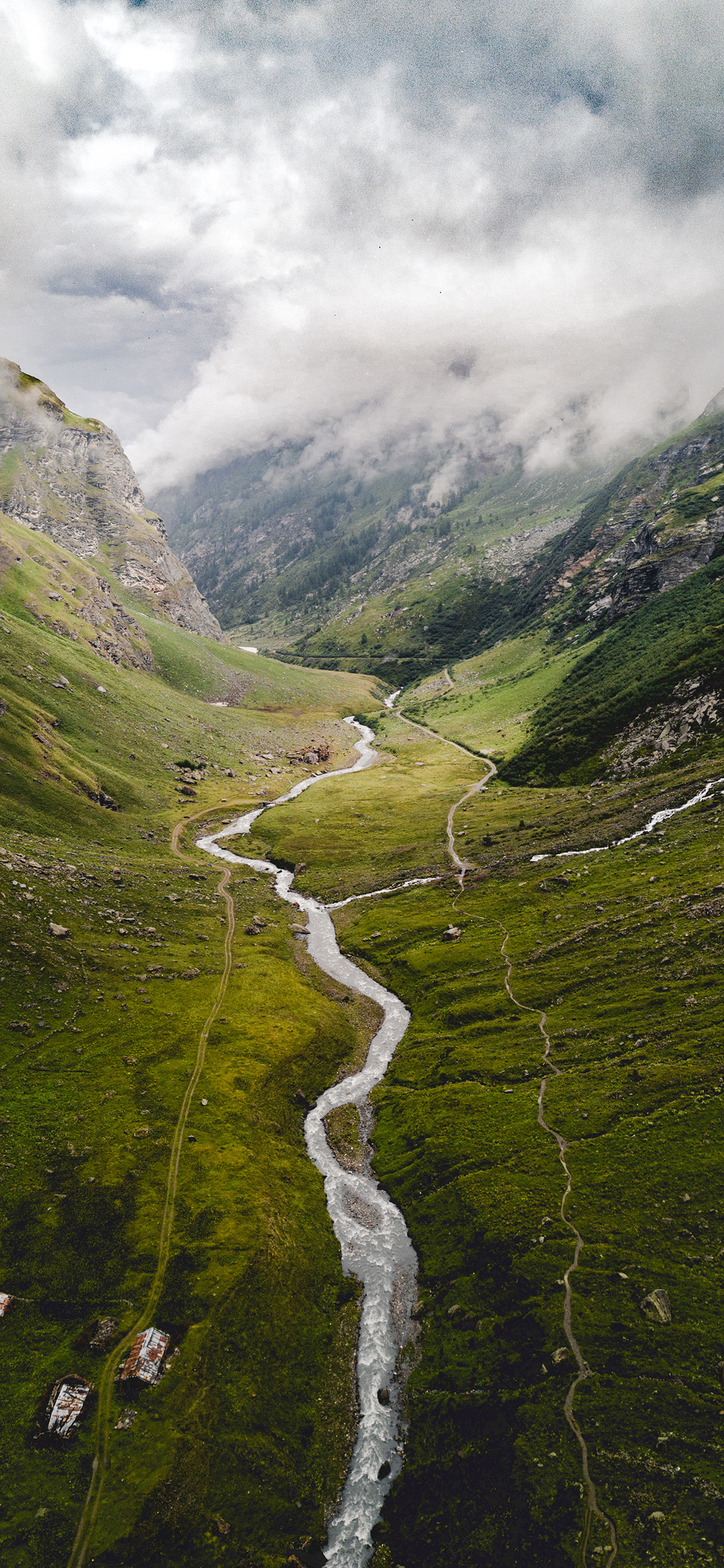荷叶 荷塘 荷花 夏日 苹果手机高清壁纸 1125x2