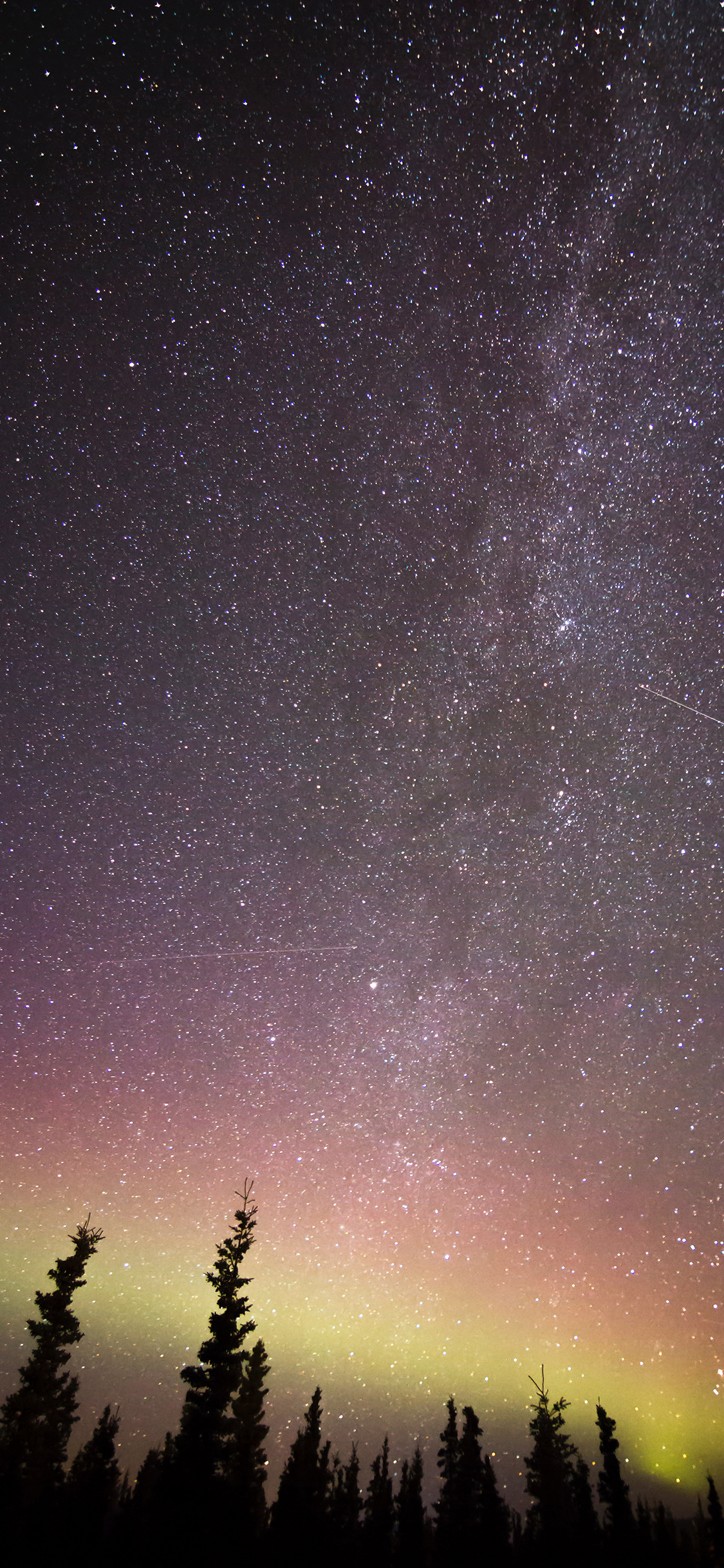夜晚 星空 极光 树木 美景 苹果手机高清壁纸 1125x