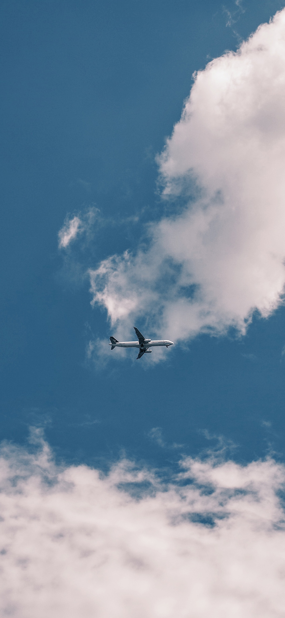 飞机 飞行 航空 蓝天白云 天空 苹果手机高清壁纸 x