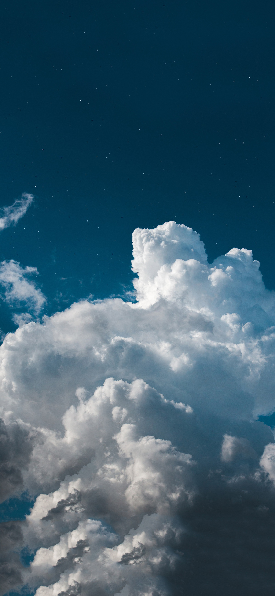 卡通 猪年 好运到来 新年 苹果手机高清壁纸 11