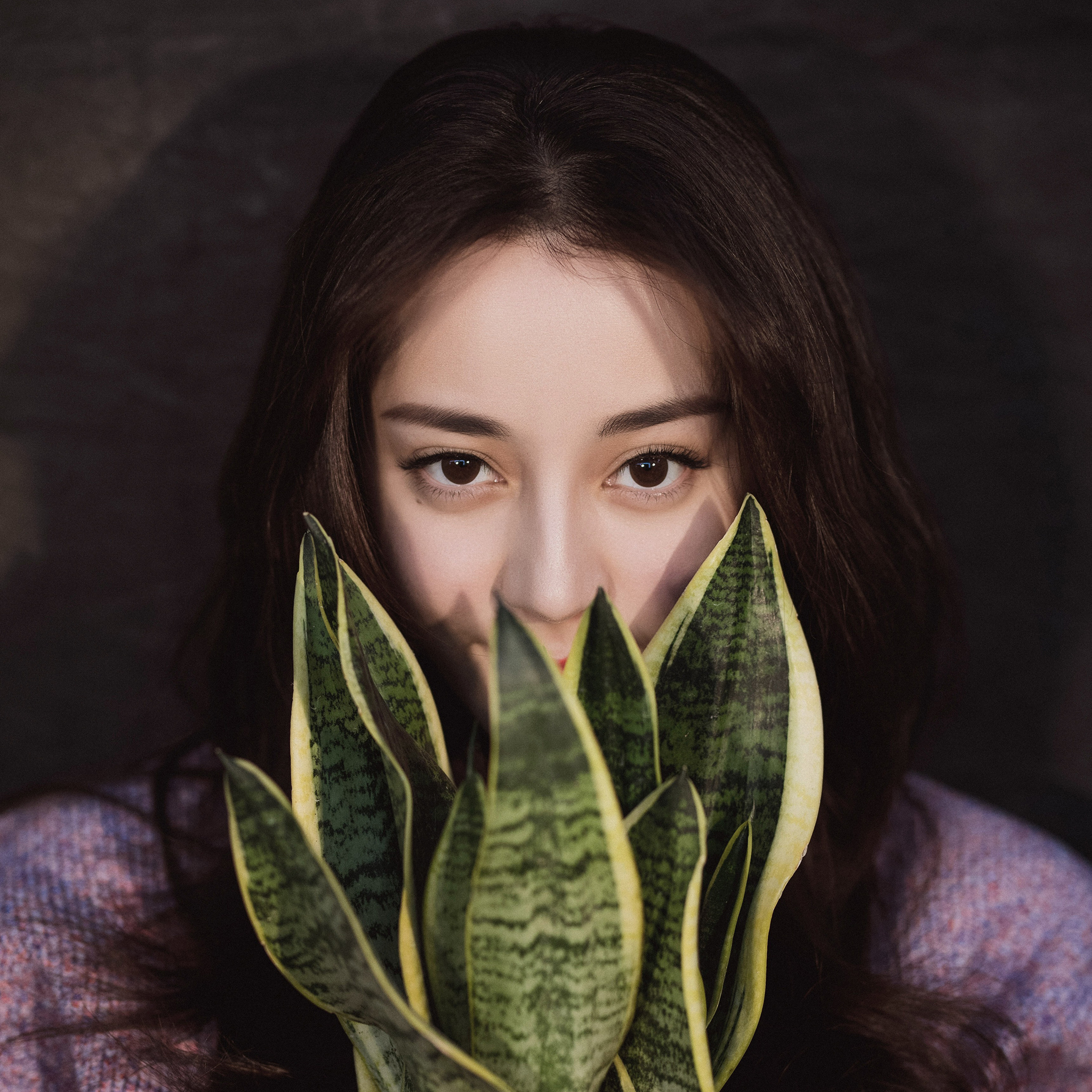 江一燕 演员 明星 艺人 旋转木马 苹果手机高清