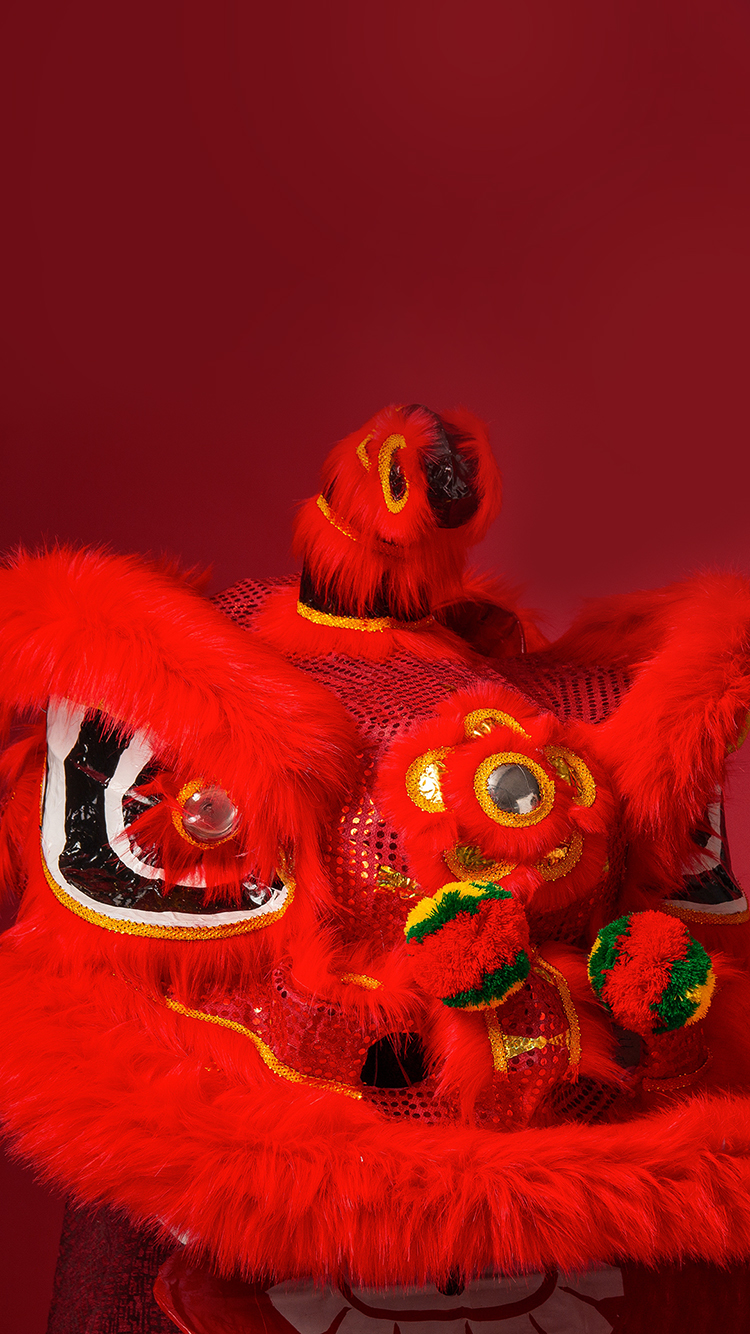 吃喝玩乐 猪 新年 苹果手机高清壁纸 750x1334