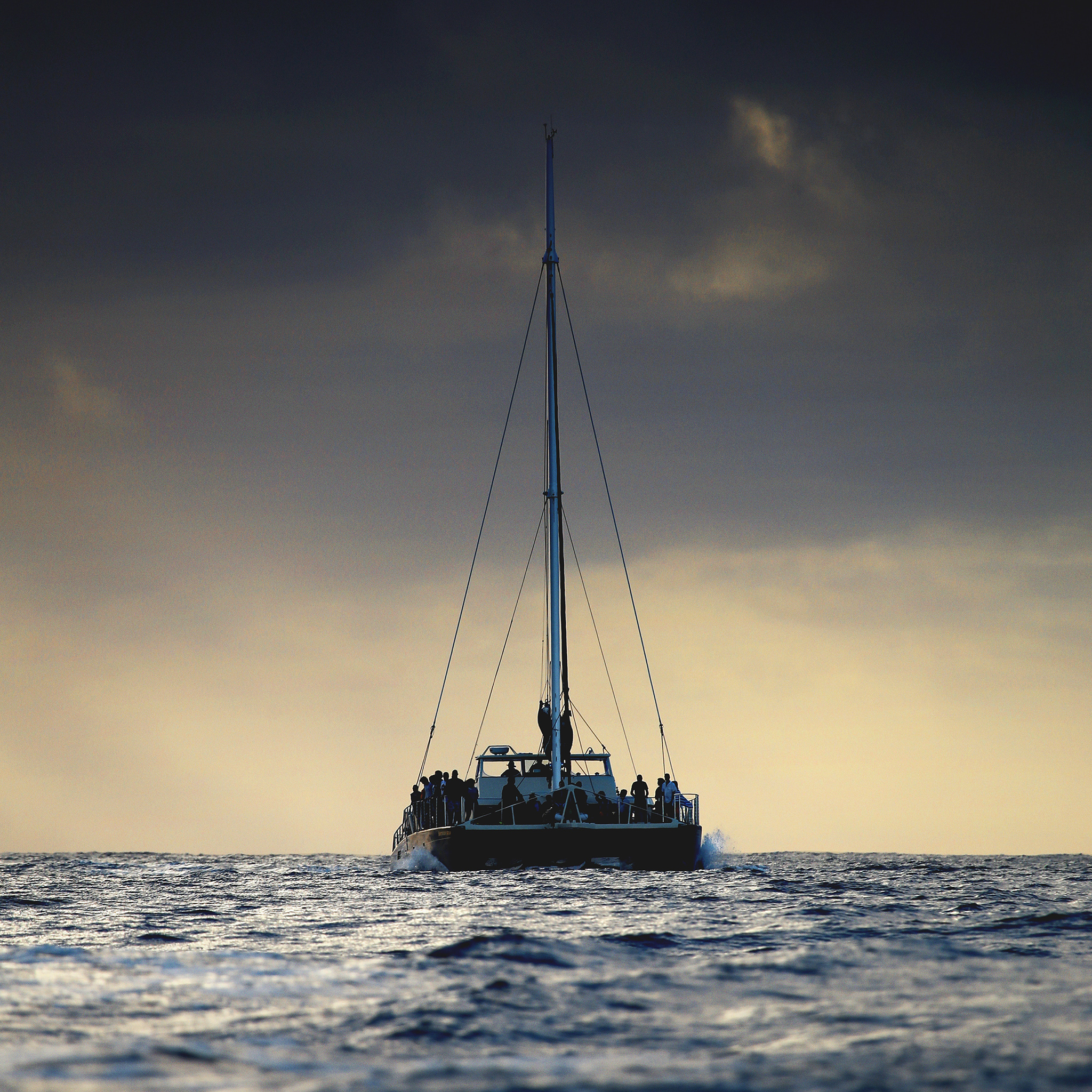 装饰 花盆 假花草 苹果手机高清壁纸 2048x204