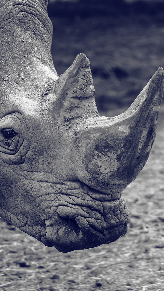 厨房 女孩 写真 日系 苹果手机高清壁纸 640x11