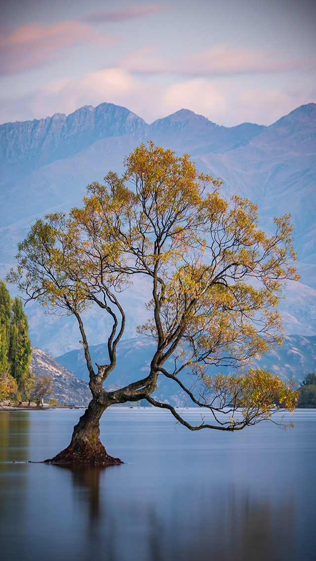 海水 大海 海浪 海岸 苹果手机高清壁纸 640x11