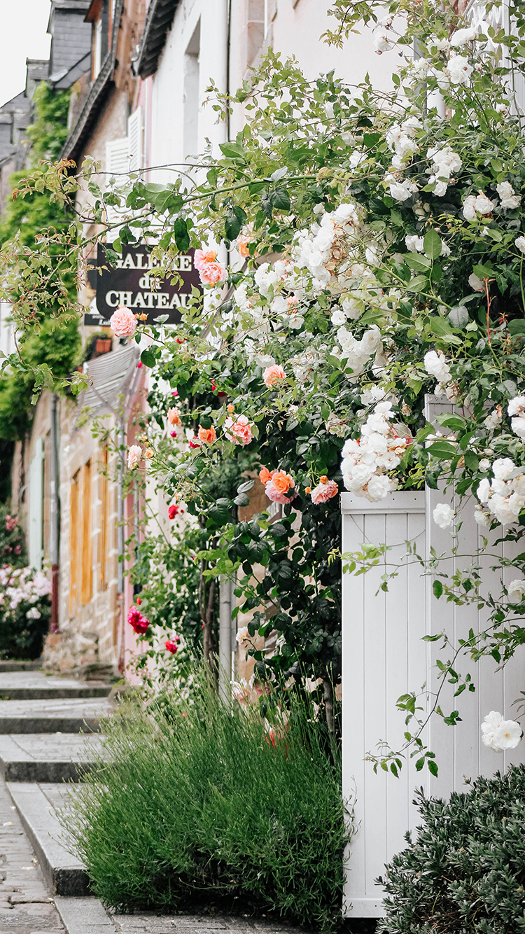 鲜花 桌面 书本 黑色 苹果手机高清壁纸 750x13