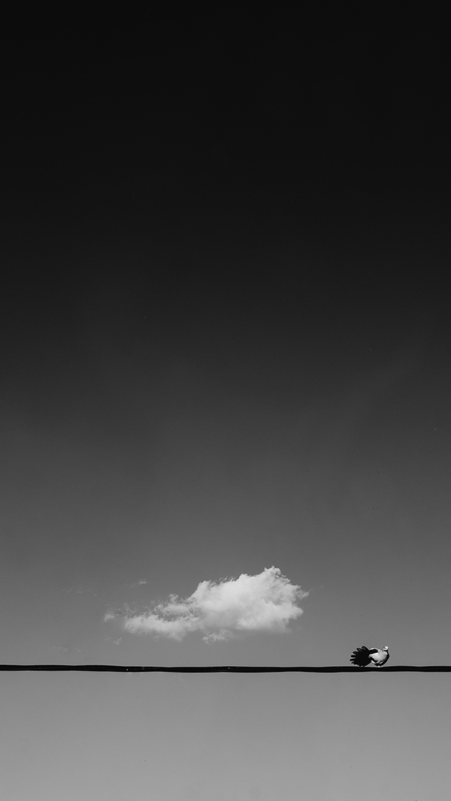 1558409041605_857884.jpg