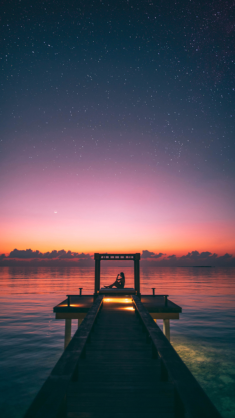 大海 夕阳 树叶 唯美 苹果手机高清壁纸 750x13