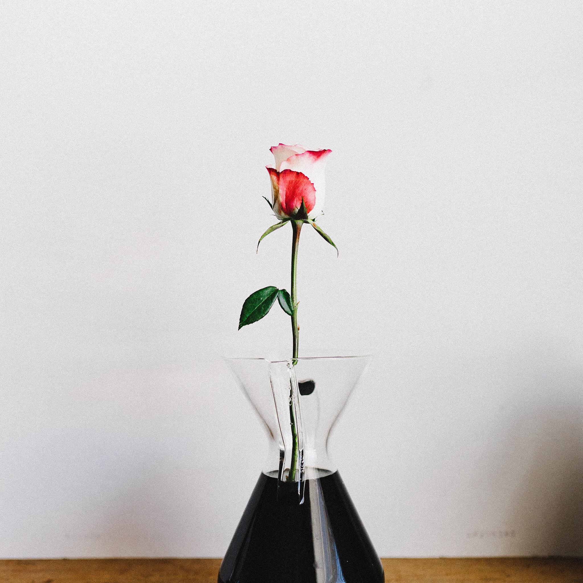 小清新手捧花 粉玫瑰 白玫瑰 苹果手机高清壁纸