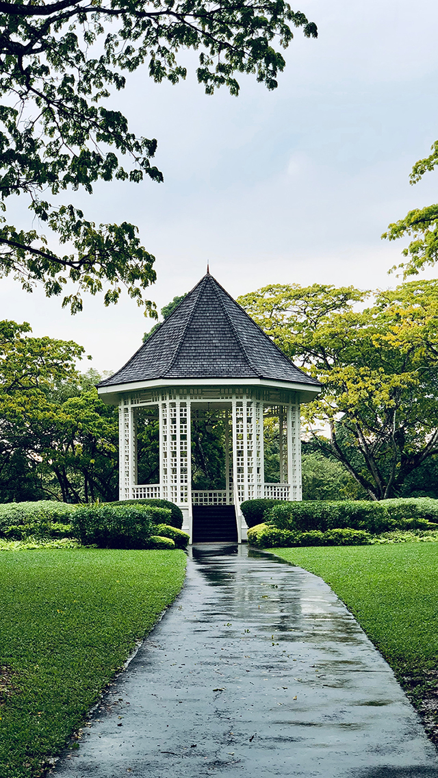 纸钞 20200鼠年大吉 诸事顺利 永远暴富 苹果手