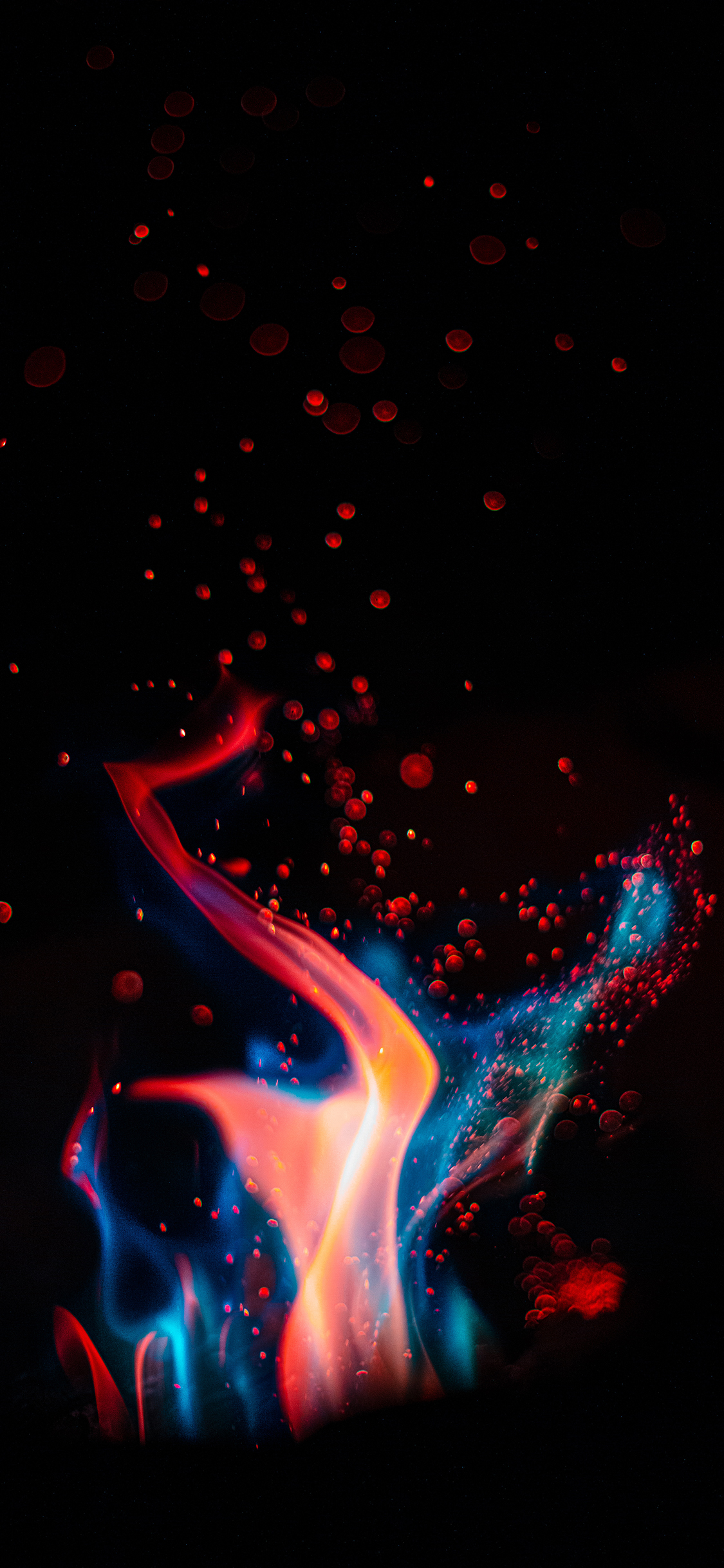 苹果IOS10官方内置壁纸 鱼 尾巴 蓝色 黑色 苹果