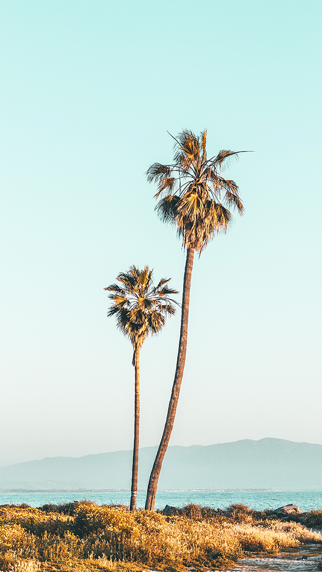 城市 夜景 建筑 都市 繁华 苹果手机高清壁纸 6