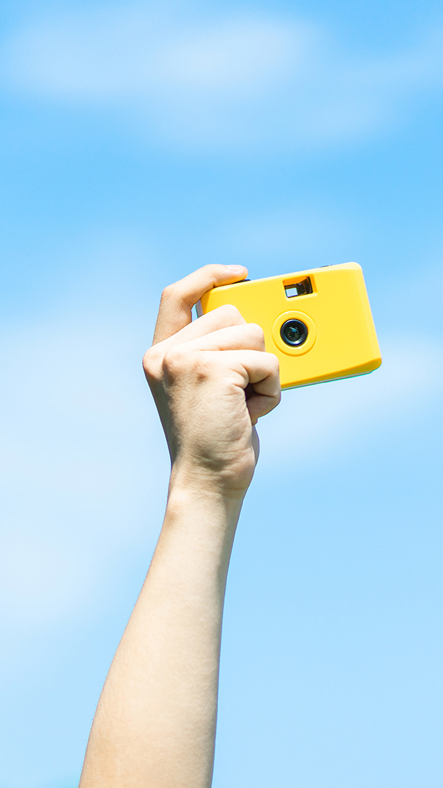 爱心小熊 彩虹熊 汉堡 平铺 苹果手机高清壁纸 